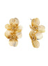 Golden Bloom Earrings